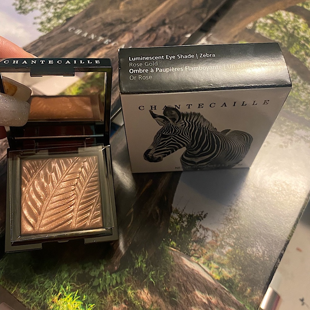 Chantecaille Rose Gold Eye Shadow